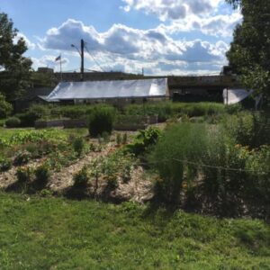 Brooklyn Org Volunteer Day: Wyckoff House Museum